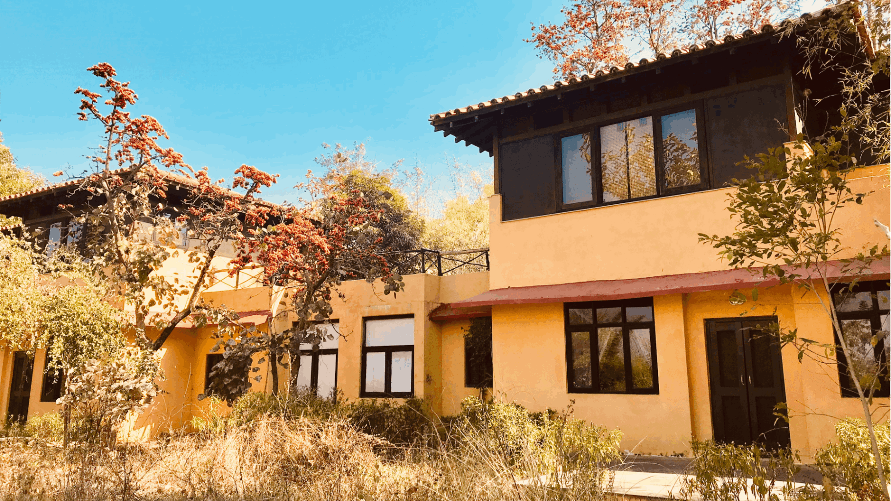 event-venue-Infinity Resort - Bandhavgarh