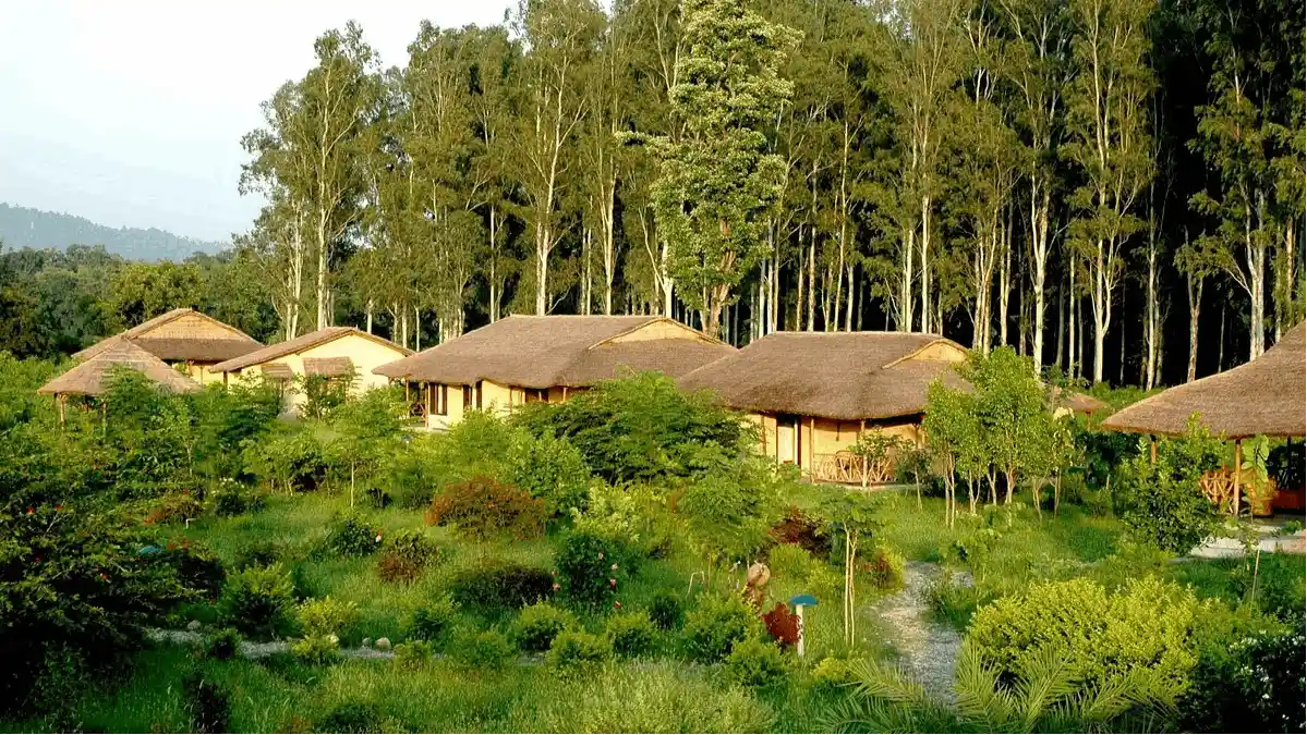 Jim's Jungle Retreat — main image