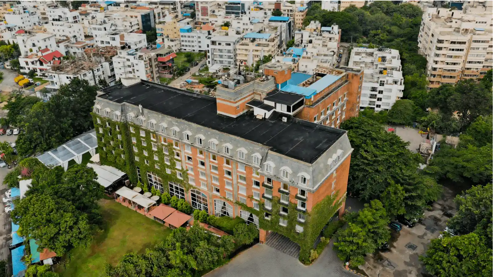 The Royal Orchid — main image