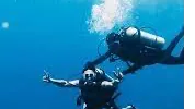 Scuba Diving in Netrani