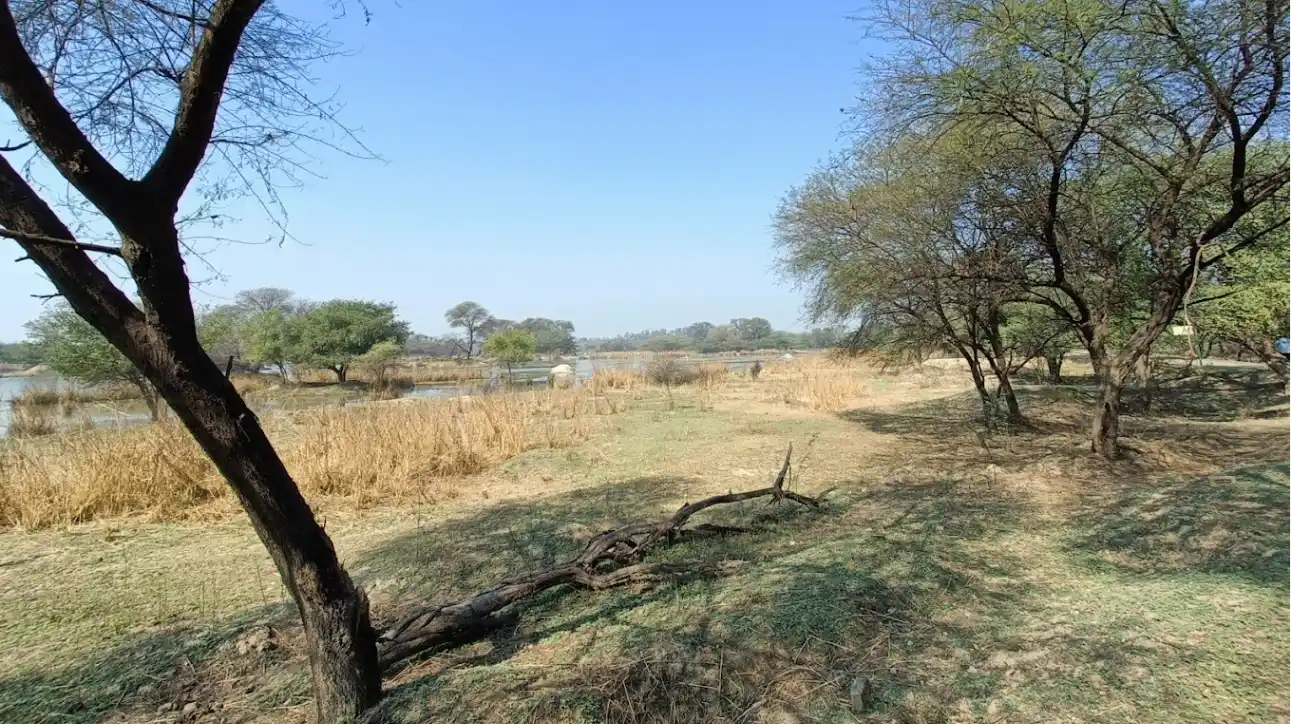 Sultanpur National Park