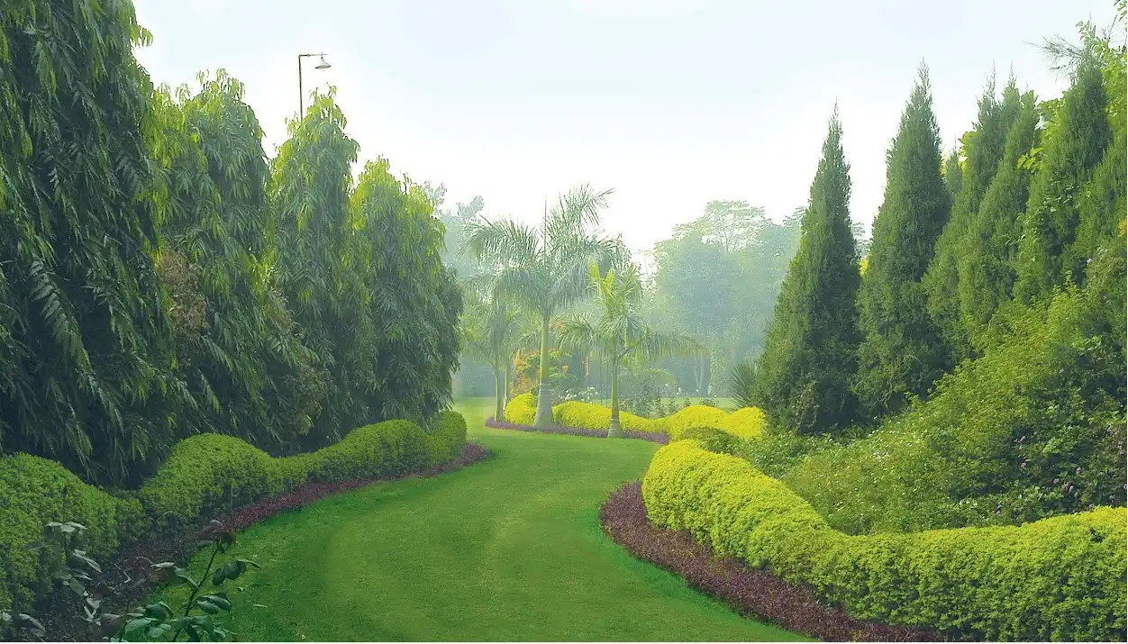 Plan Events at Surjivan Resort – Rustic Venue Near Delhi NCR