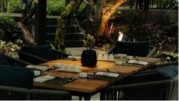 Woods - The Forest Dining Experience