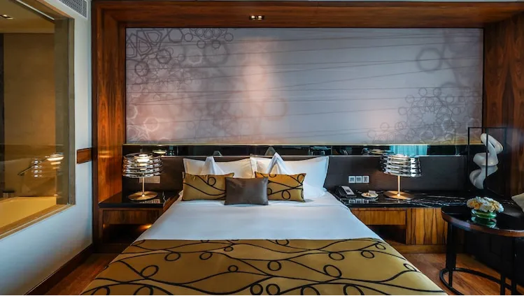 KING MOBILITY ACCESSIBLE TUB