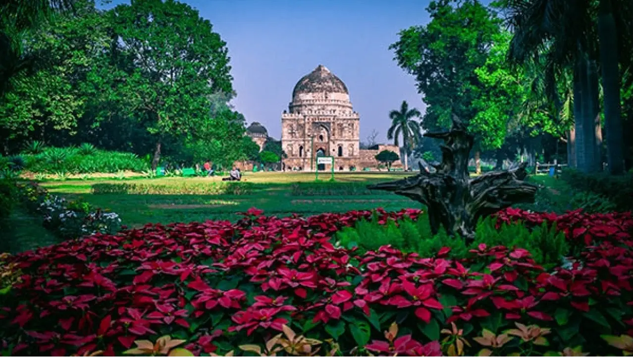 Lodi Garden