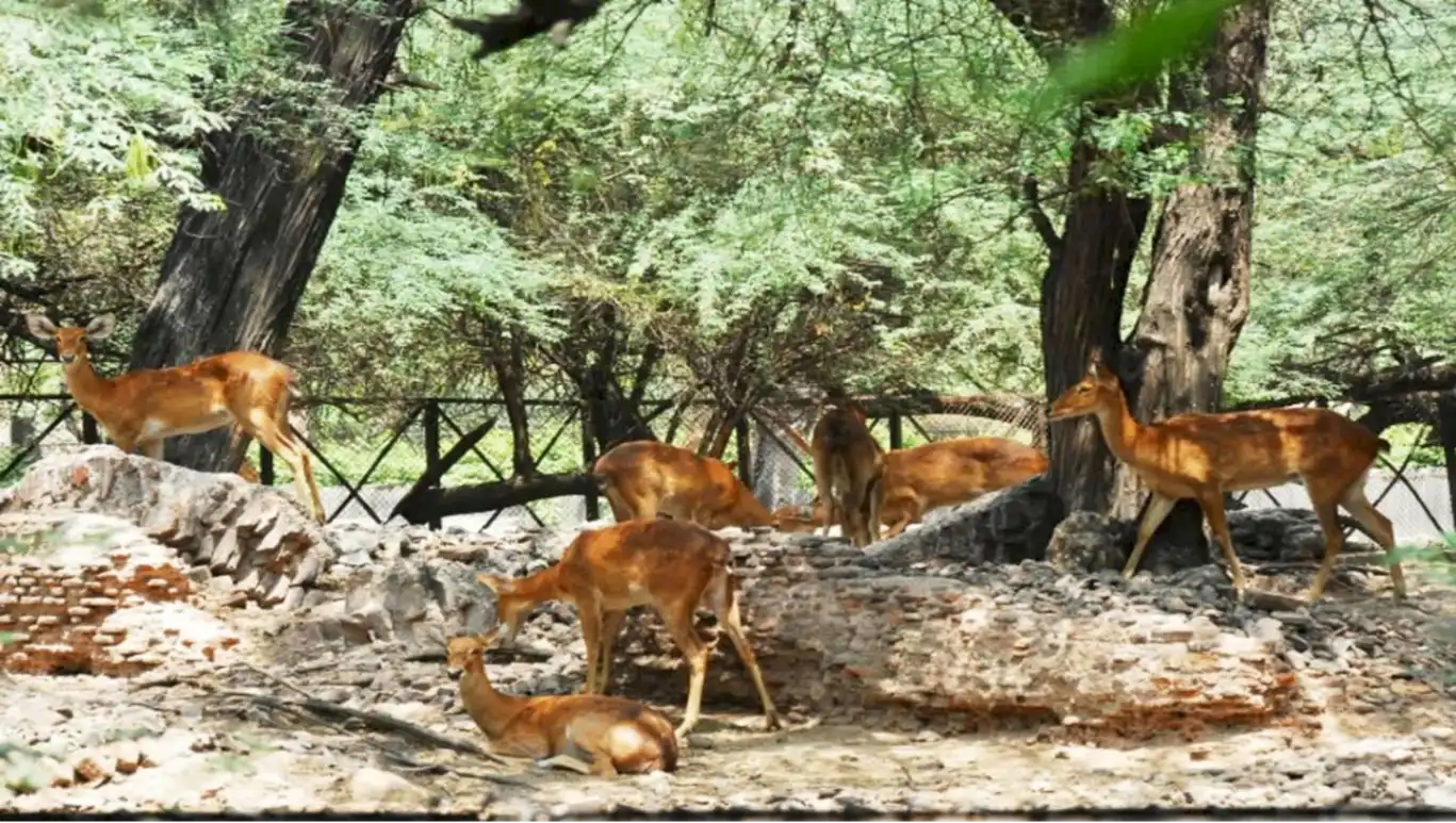 National Zoological Park 