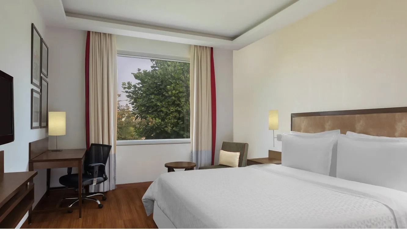 Premier Room
