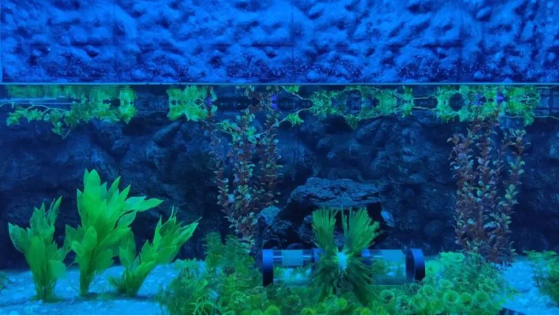 Jagdishchandra Bose Muncipal Aquarium