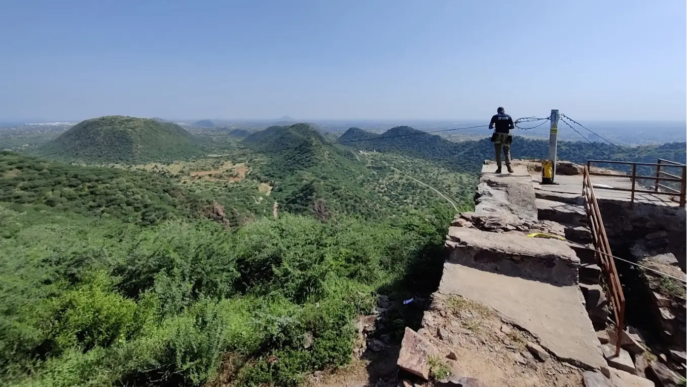 FLYING FOX NEEMRANA