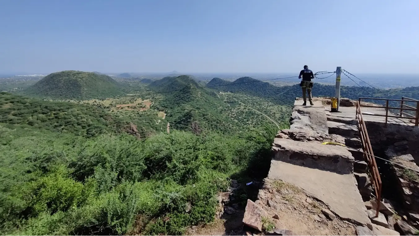 FLYING FOX NEEMRANA