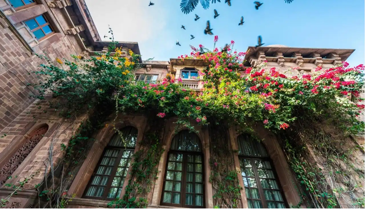 event-venue-Ranbanka Palace