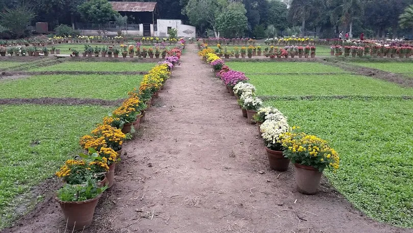 Barandari Garden