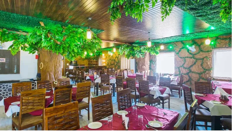 Nirwana Woods - Best Pure Veg Restaurant