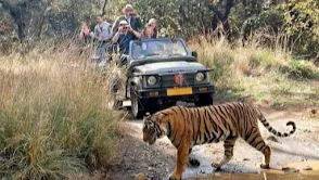 Ranthambore National Park