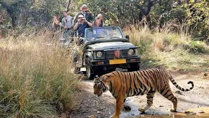 Ranthambore National Park