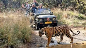 Ranthambore National Park