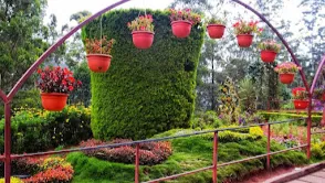 Munnar Rose Garden