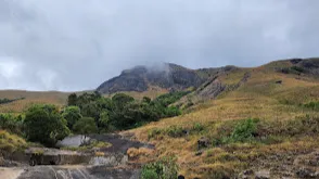 Eravikulam National Park