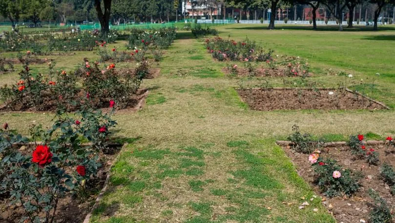 Zakir Hussain Rose Garden