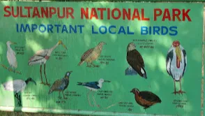 Sultanpur National Park