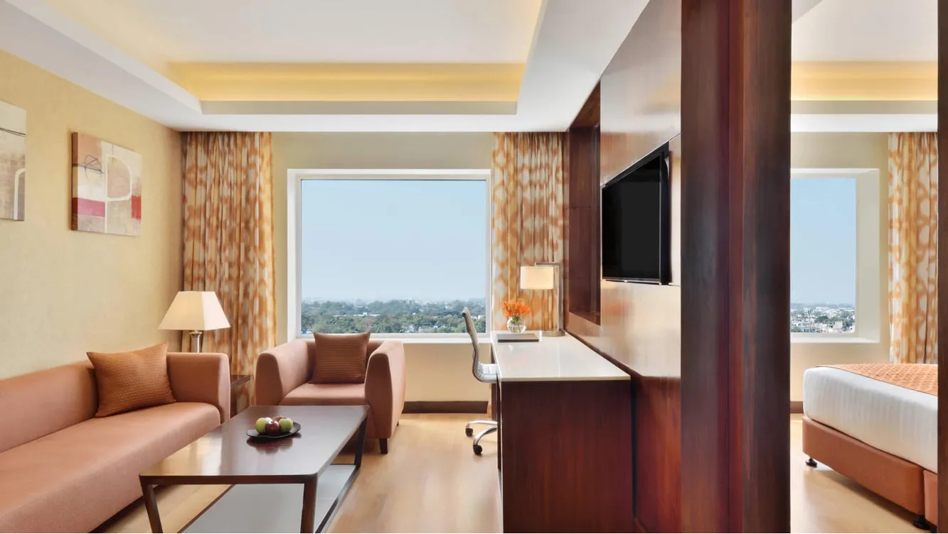 1 Bedroom Suite