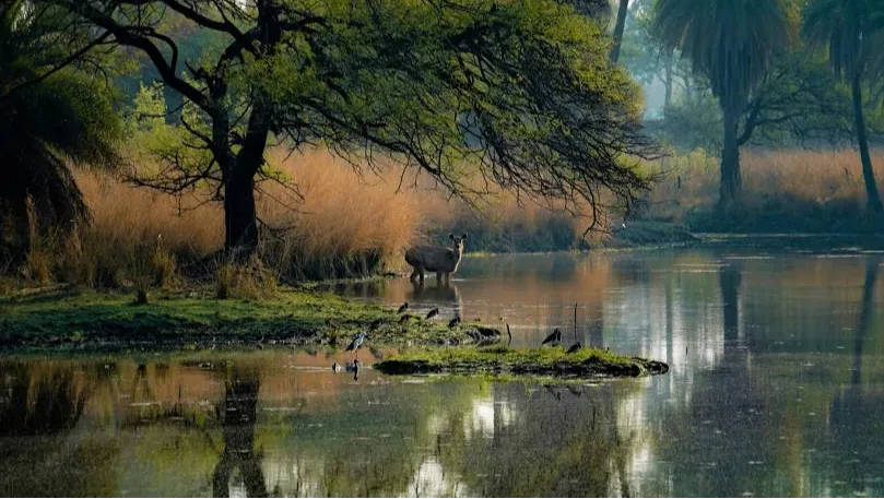 Van Vihar National Park Bhopal