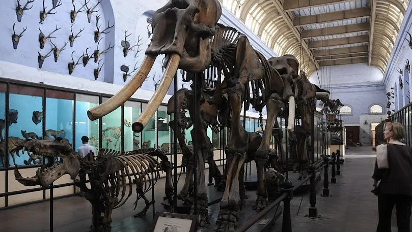 Indian Museum