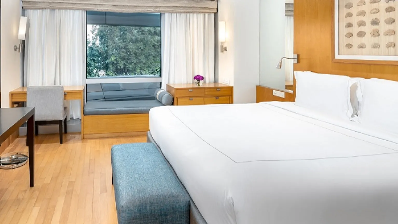 One Bedroom  Apartment