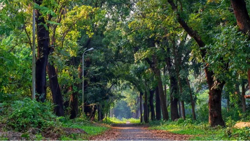 Acharya Jagadish Chandra Bose Indian Botanic Garden