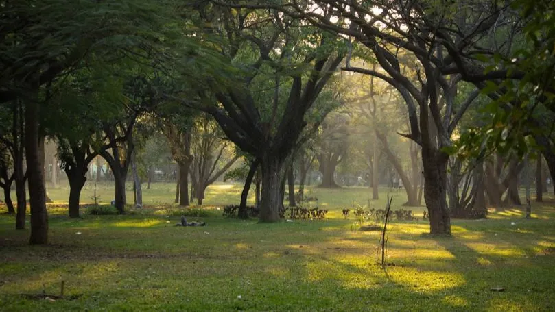 Shri Chāmarajendra (Cubbon) Park