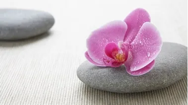 Meghavi Wellness Spa