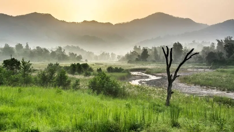 Rajaji National Park
