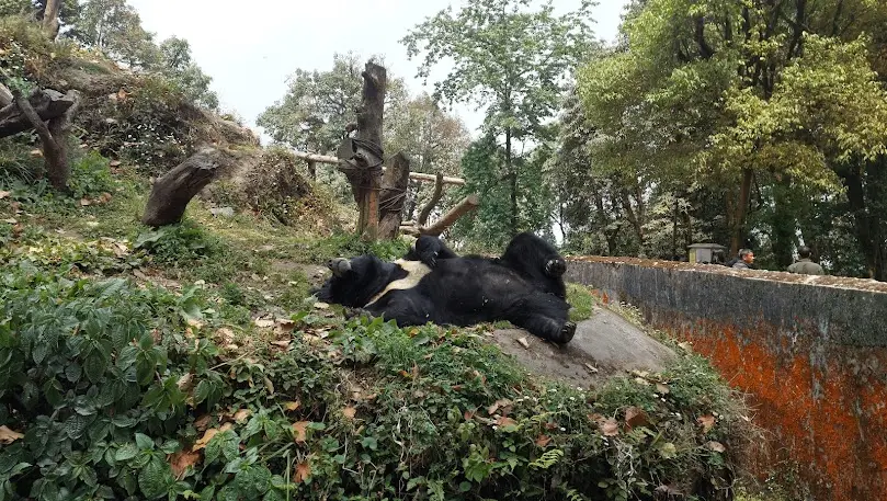 Himalayan Mountaineering Institute