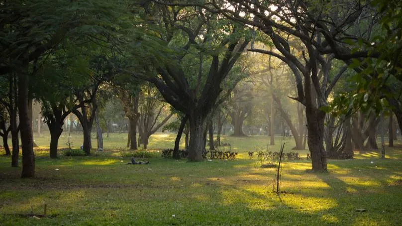 Shri Chāmarajendra (Cubbon) Park