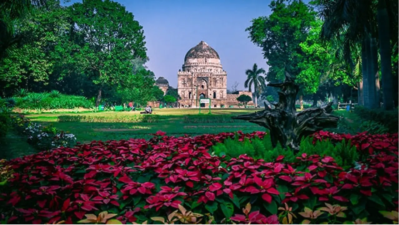 Lodhi Garden