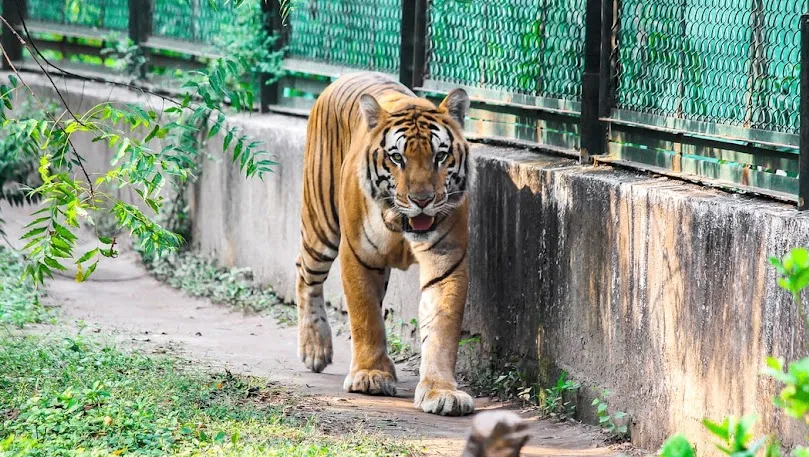 Sarthana Nature Park