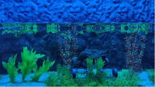 Jagdishchandra Bose Muncipal Aquarium