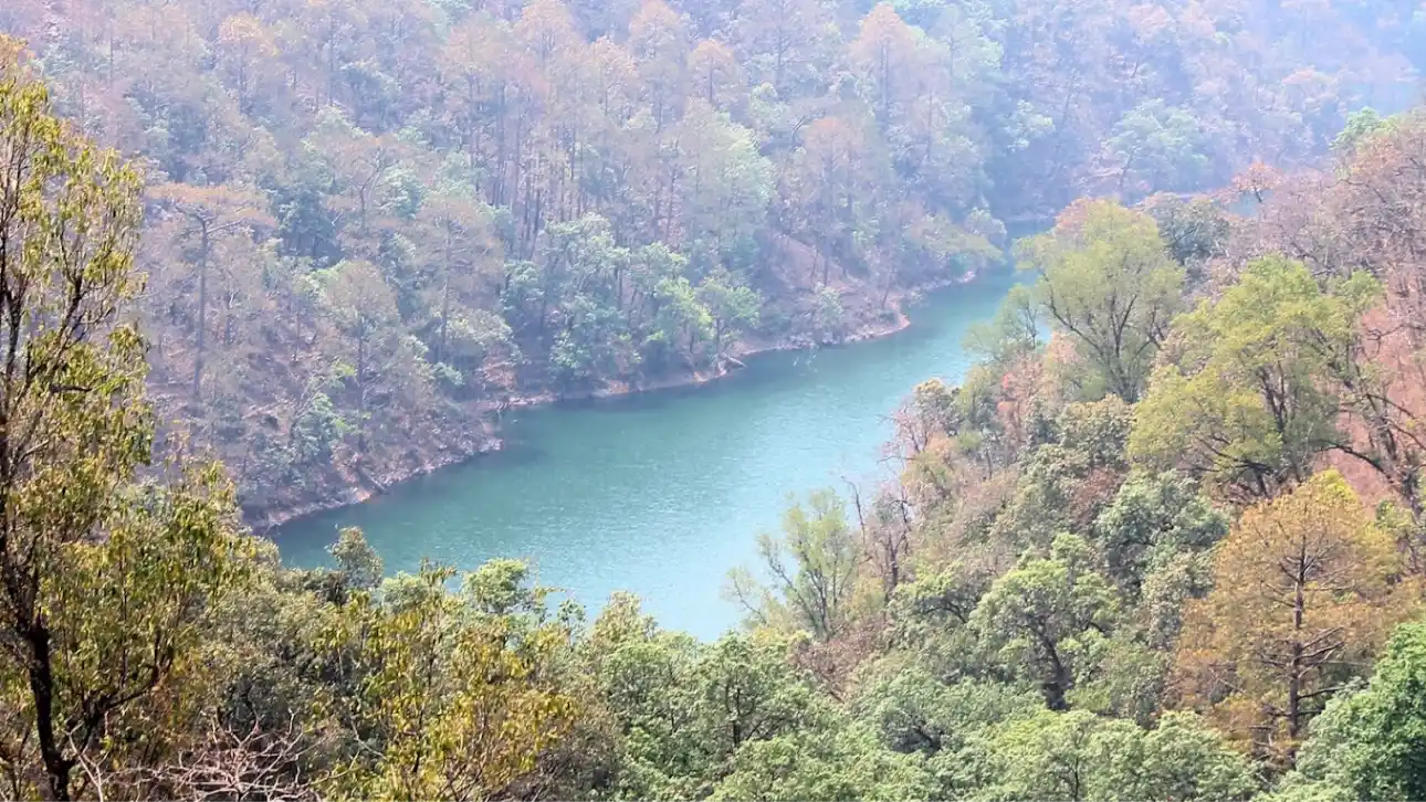 Butterfly Research Centre, Bhimtal