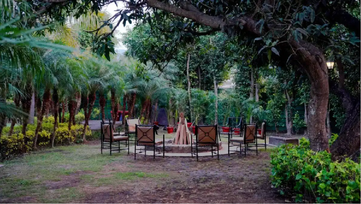 THE TRADITIONAL BONFIRE