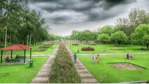 Terraced Garden