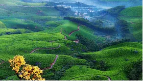 Munnar⁩⁦
