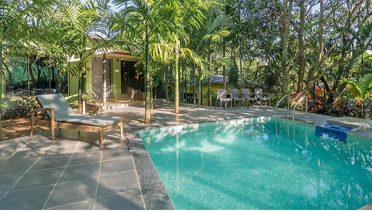 Pool Forest Suite