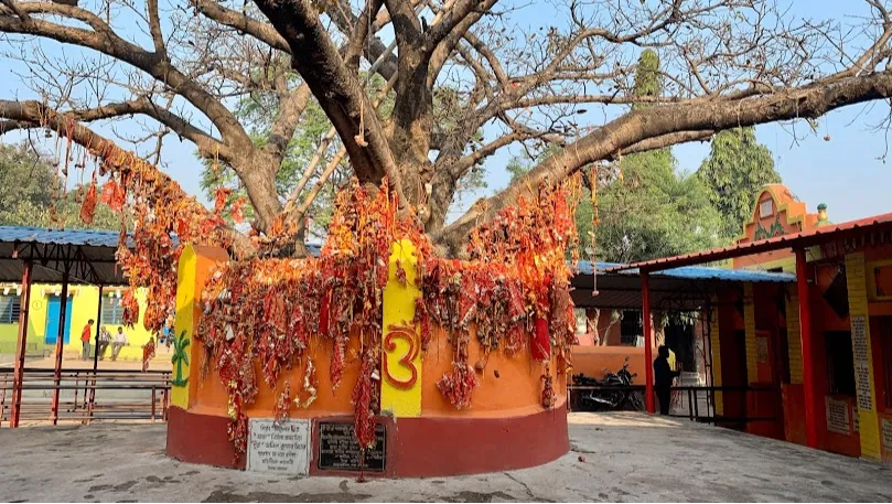 Ghagar Buri Chandi Mata Temple