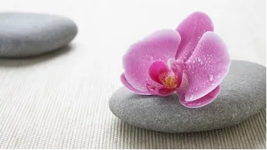 Tattva Spa