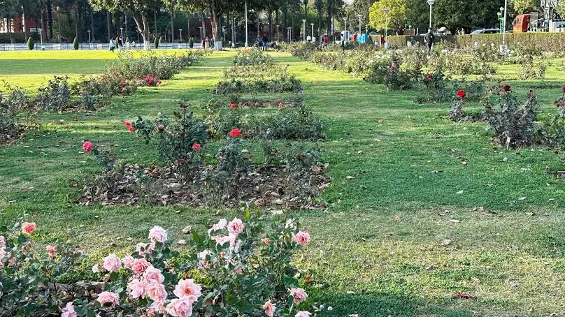 Zakir Hussain Rose Garden