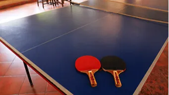TABLE TENNIS