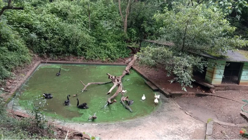 Shivamogga Zoo & Safari