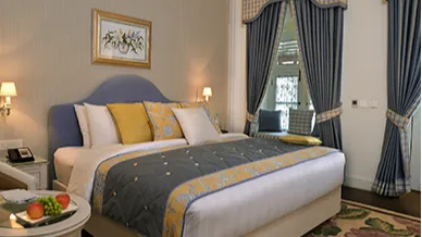 Premium Mountain View Room