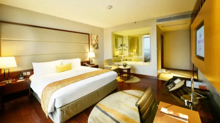 Deluxe King City View Room