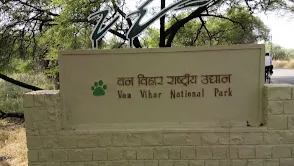 Van Vihar National Park Bhopal